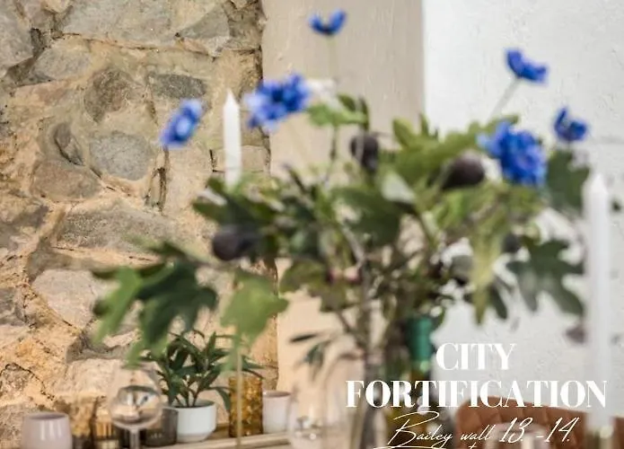 Appartement New Design & High Standard From 16th Century In Old Town-free Parking *